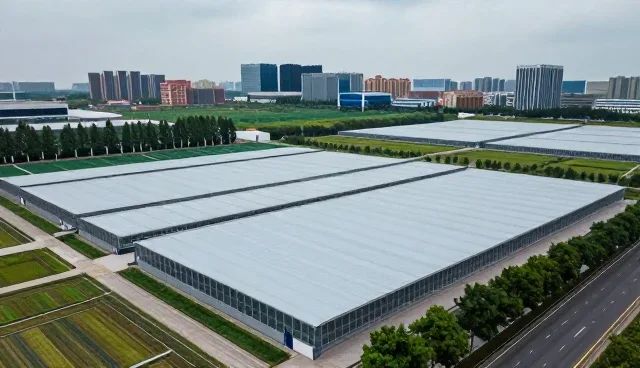 商务代理服务如何提升企业运营效率