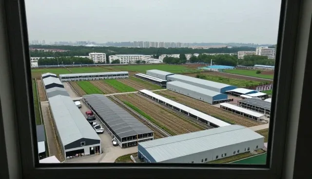 广州浙渝商务服务有限公司分享商务管理培训应用经验